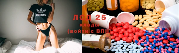 стафф Богданович