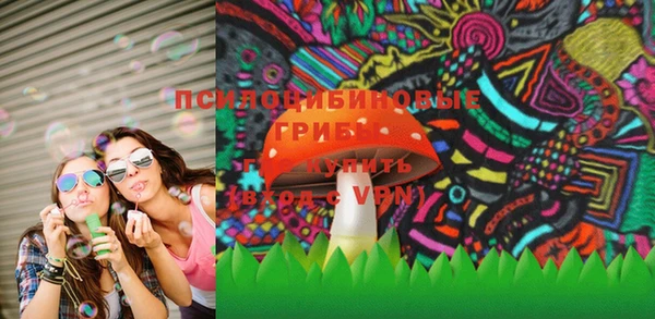 стафф Богданович