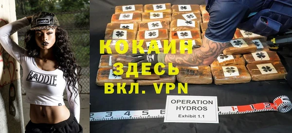стафф Богданович